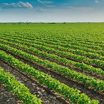 B2B-platform voor Agrimpex Sp. z o.o.