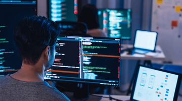 Technology management in e-commerce: How to avoid the trap of technology debt?